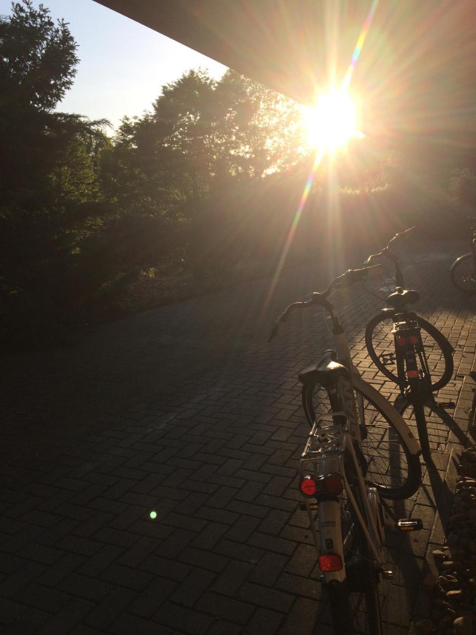 Hotel Niedersaechsischer Hof บัดเบนท์ไฮม์ ภายนอก รูปภาพ